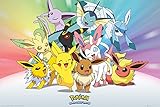 Pokémon Poster Evoli Entwicklungen (91,5cm x 61cm) + Ü-Poster