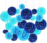 24Pcs Blau Seidenpapier Pompons, Hochzeitsfestdekorationen Pom Pom...