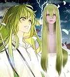 ydound Anime Coer Wig. Anime Fate/Grand Order Cosplay Perücken ENKIDU...