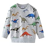 Little Hand Jungen Sweatshirt Jumper für Kinder Sweater Dinosaur...