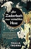 Das Zauberbuch einer verruchten Hexe: Magische Zaubersprüche, um...