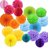20er Bunt Deko Seidenpapier Pompons, Dekorpapier Blumenpuscheln...