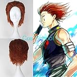 Cosplay Wig Cos School Hunter x Hunter Hisoka Cosplay Perücken Braun...
