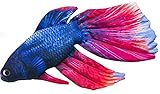 Gaby DER SIAMESISCHE KAMPFFISCH 53cm Kuscheltier Stofftier Fisch...