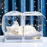 YJHWLF Fuchs Plüschtier Niedlich Mini Kuscheltier Plüsch Kleiner...
