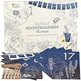 Saatgut Adventskalender 2022: Nachhaltiger Blumen Samen...