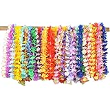 JOYIN 60 Stücke Hawaii Blumenketten Hawaiikette Halskette, Tropischen...