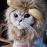 Bello Luna Löwe Haar Kopfbedeckung für kleinen Hund und Katzen,...