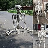 Halloween Deko,70/160 cm lebensgroßes Skelett Ganzkörper...