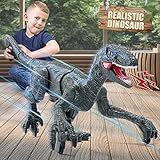 Mini Tudou 2.4G Fernbedienung Dinosaurier Spielzeug,Lehrreich...