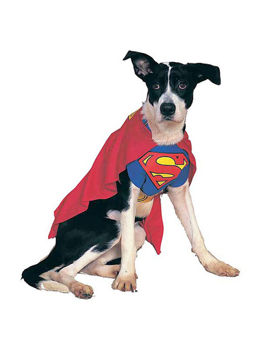 Superman Hundekostüm für Hunde