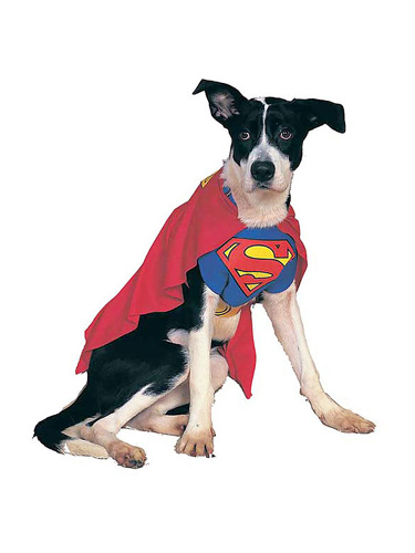 Superman Hundekostüm für Hunde
